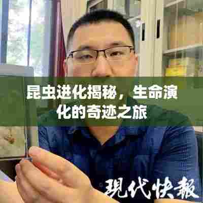 昆虫进化揭秘，生命演化的奇迹之旅