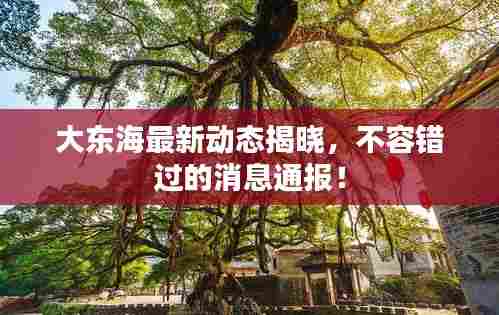 大东海最新动态揭晓，不容错过的消息通报！