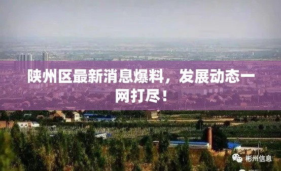 陕州区最新消息爆料,发展动态一网打尽!