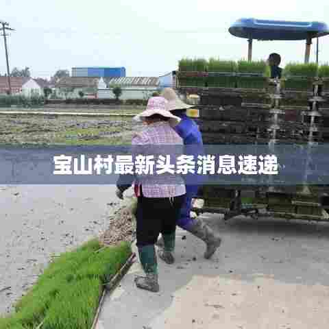宝山村最新头条消息速递