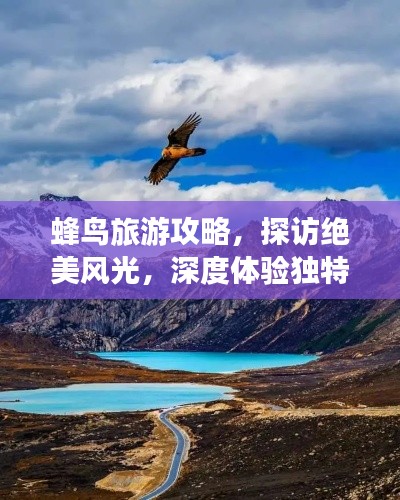 蜂鸟旅游攻略,探访绝美风光,深度体验独特文化