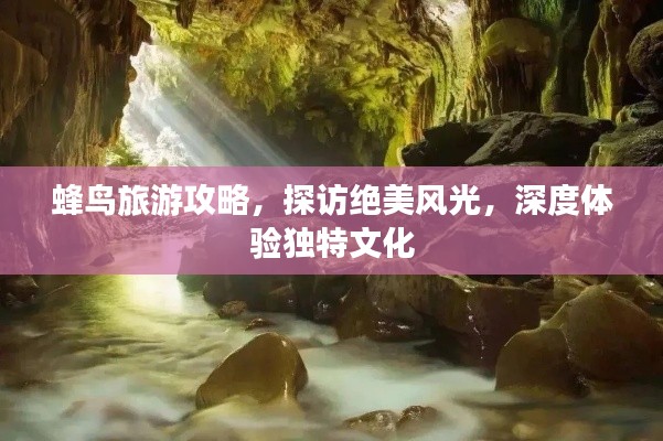 蜂鸟旅游攻略,探访绝美风光,深度体验独特文化