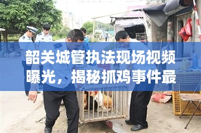 韶关城管执法现场视频曝光，揭秘抓鸡事件最新进展