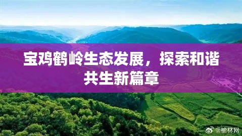 宝鸡鹤岭生态发展，探索和谐共生新篇章