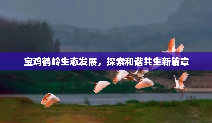 宝鸡鹤岭生态发展,探索和谐共生新篇章