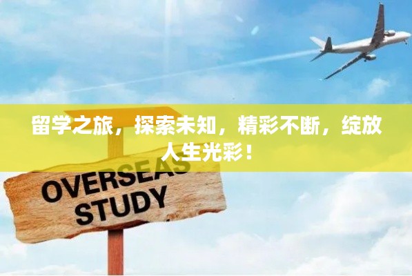 留学之旅，探索未知，精彩不断，绽放人生光彩！