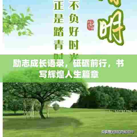 励志成长语录,砥砺前行,书写辉煌人生篇章