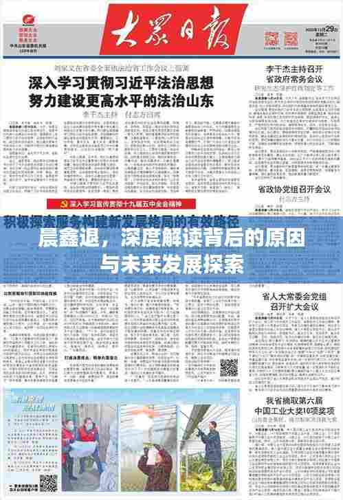 晨鑫退，深度解读背后的原因与未来发展探索