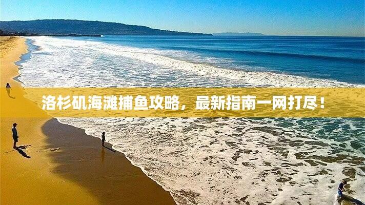 洛杉矶海滩捕鱼攻略,最新指南一网打尽!