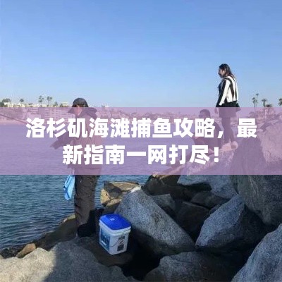 洛杉矶海滩捕鱼攻略,最新指南一网打尽!