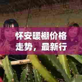 怀安暖棚价格走势，最新行情深度解析