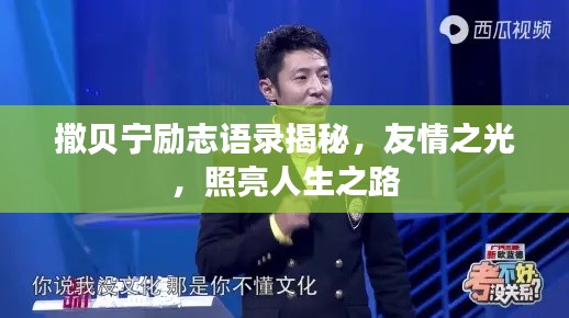 撒贝宁励志语录揭秘,友情之光,照亮人生之路