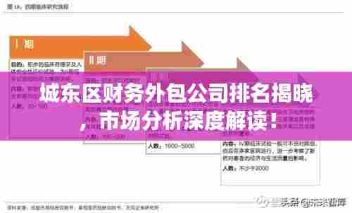 城东区财务外包公司排名揭晓,市场分析深度解读!