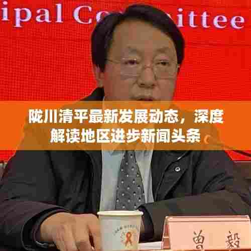 陇川清平最新发展动态，深度解读地区进步新闻头条