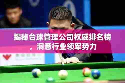 揭秘台球管理公司权威排名榜，洞悉行业领军势力