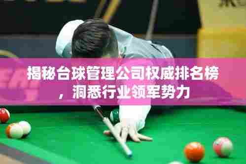 揭秘台球管理公司权威排名榜,洞悉行业领军势力