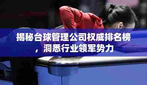揭秘台球管理公司权威排名榜,洞悉行业领军势力