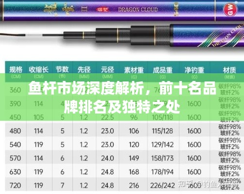 鱼杆市场深度解析,前十名品牌排名及独特之处