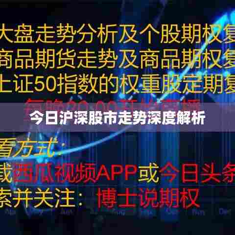 今日沪深股市走势深度解析