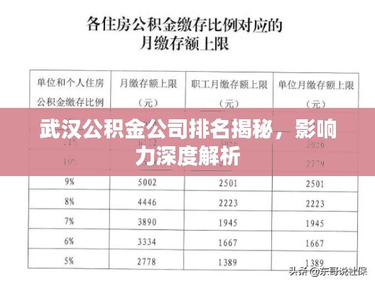 武汉公积金公司排名揭秘,影响力深度解析