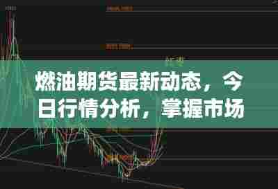 燃油期货最新动态，今日行情分析，掌握市场走势！