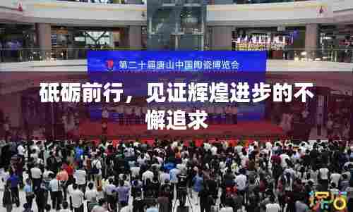 砥砺前行，见证辉煌进步的不懈追求