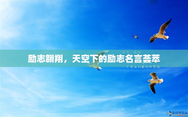 励志翱翔,天空下的励志名言荟萃