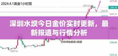 深圳水坝今日金价实时更新,最新报道与行情分析