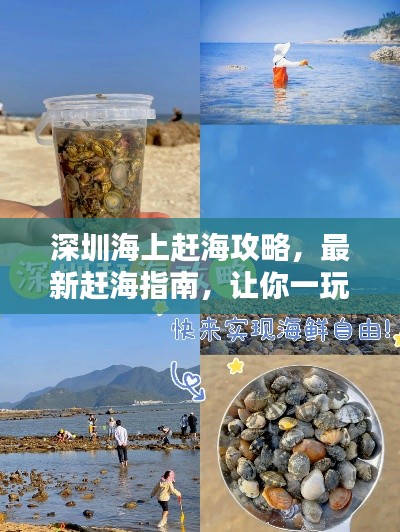 深圳海上赶海攻略,最新赶海指南,让你一玩就停不下来!