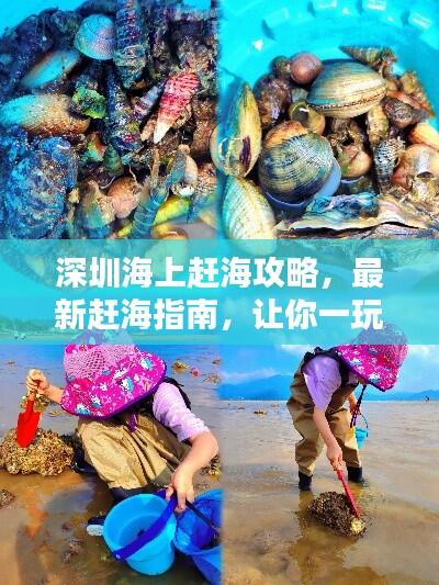 深圳海上赶海攻略,最新赶海指南,让你一玩就停不下来!
