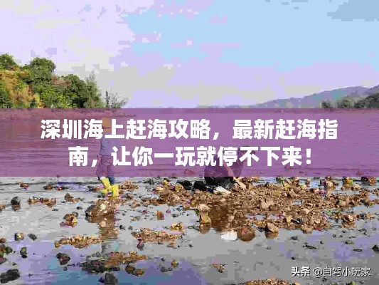 深圳海上赶海攻略,最新赶海指南,让你一玩就停不下来!