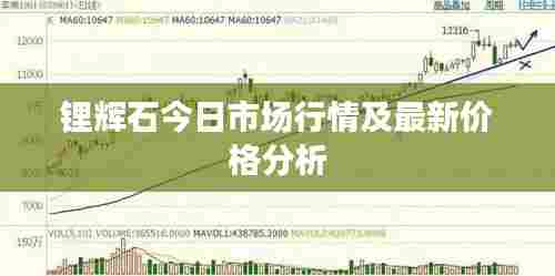 锂辉石今日市场行情及最新价格分析