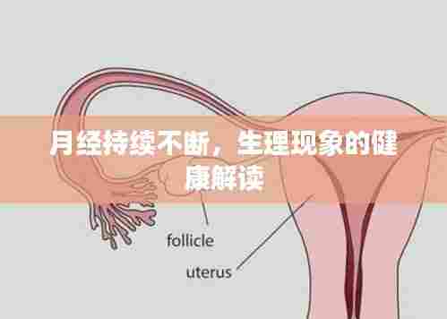 月经持续不断，生理现象的健康解读