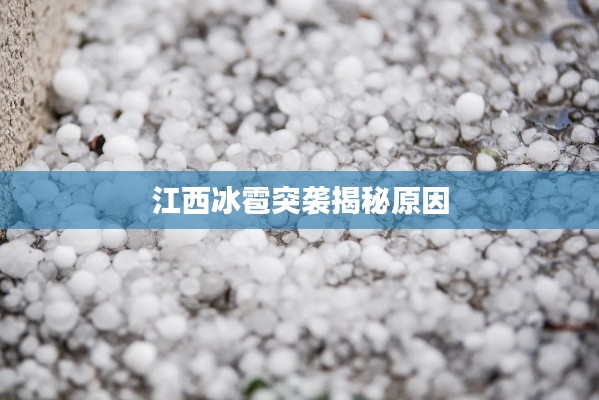 高人雅士 第6页