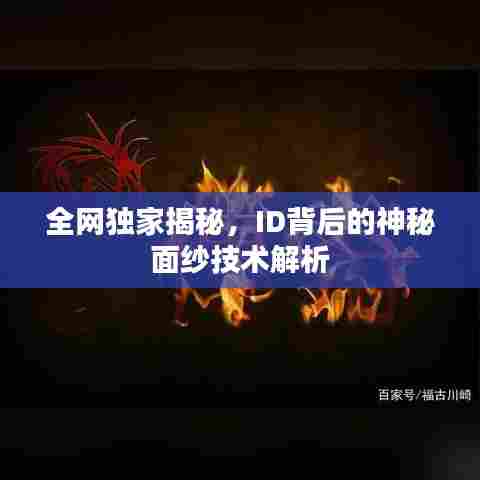 全网独家揭秘，ID背后的神秘面纱技术解析
