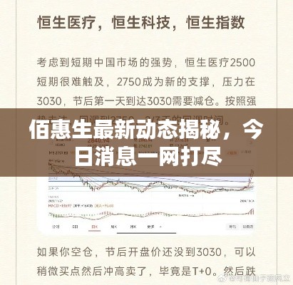 佰惠生最新动态揭秘,今日消息一网打尽