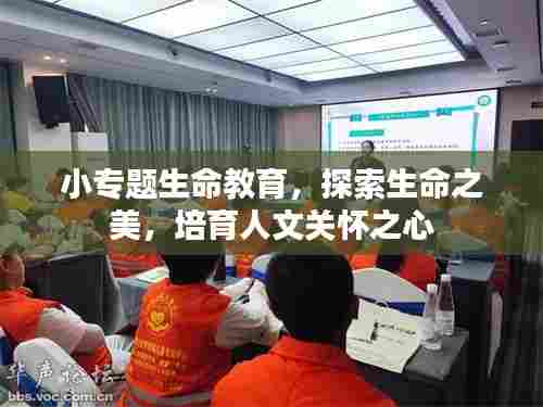 小专题生命教育，探索生命之美，培育人文关怀之心