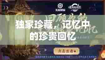 独家珍藏,记忆中的珍贵回忆