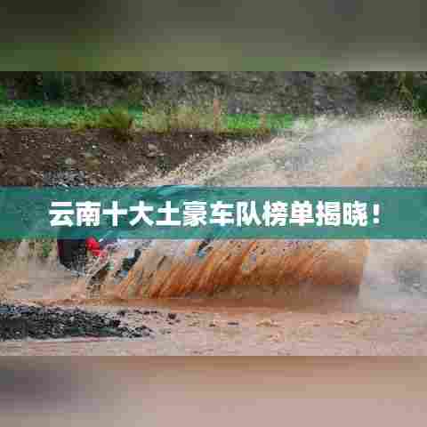 云南十大土豪车队榜单揭晓！