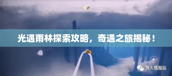 光遇雨林探索攻略，奇遇之旅揭秘！