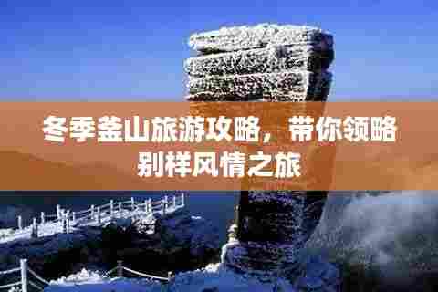 冬季釜山旅游攻略,带你领略别样风情之旅