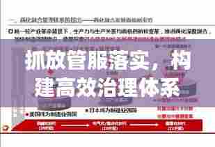 抓放管服落实,构建高效治理体系的秘诀所在