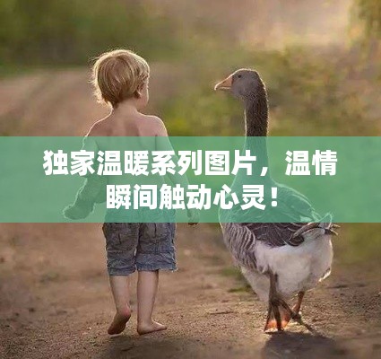 走马观花 第4页