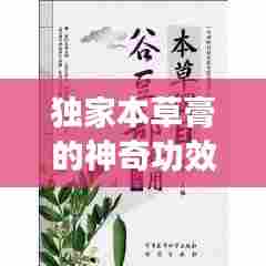 独家本草膏的神奇功效与用途解析