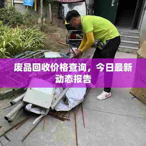 废品回收价格查询，今日最新动态报告