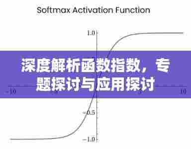 深度解析函数指数，专题探讨与应用探讨