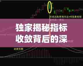 独家揭秘指标收敛背后的深层含义与应用价值探索