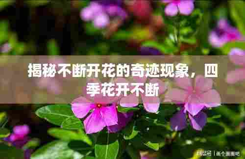 如鸟兽散 第6页