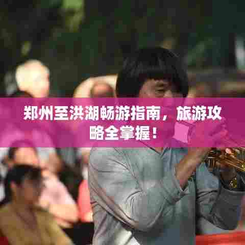 郑州至洪湖畅游指南，旅游攻略全掌握！