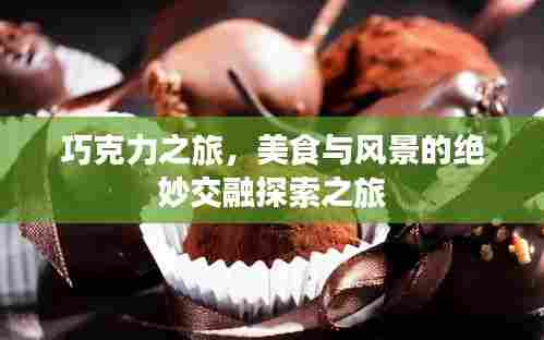 巧克力之旅，美食与风景的绝妙交融探索之旅